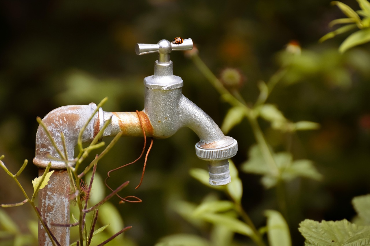 AKTUALNOŚCI water tap, old, rusty, ladybug, water pipe, iron, nature, tap water, irrigation, garden, water