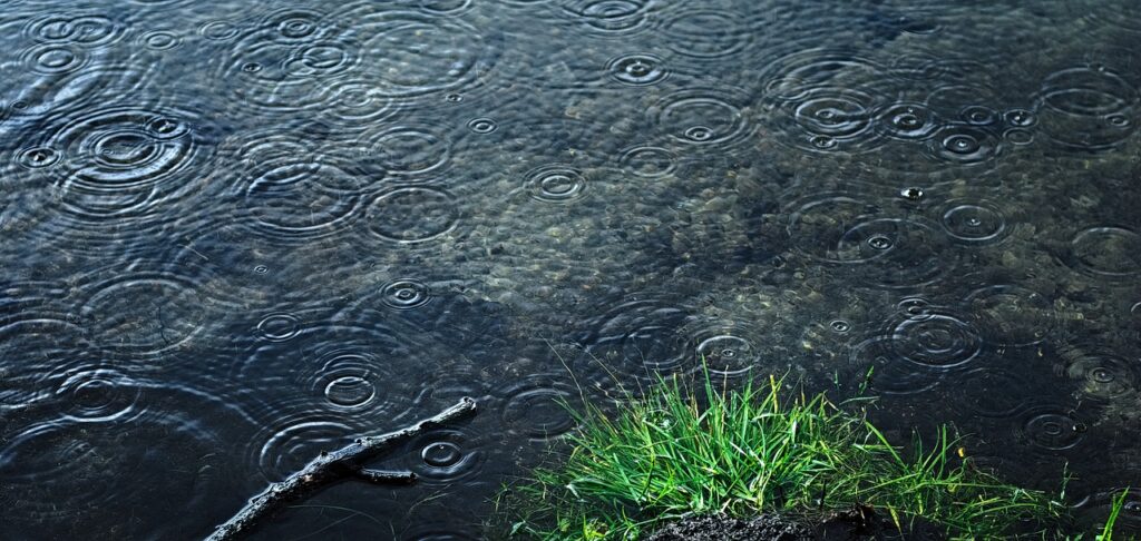 rain, lake, holiday, sadness, melancholy, bory tucholski, water, nature, wet, rain, rain, rain, rain, rain, melancholy